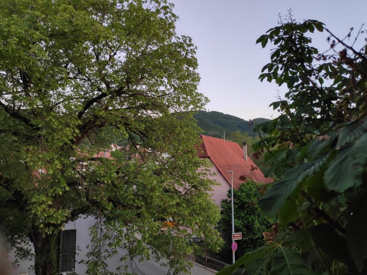 Ferienwohnungen Und Zimmer In Reutlingen-Goenningen Eksteriør billede