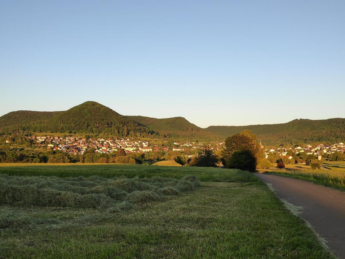 Ferienwohnungen Und Zimmer In Reutlingen-Goenningen Eksteriør billede
